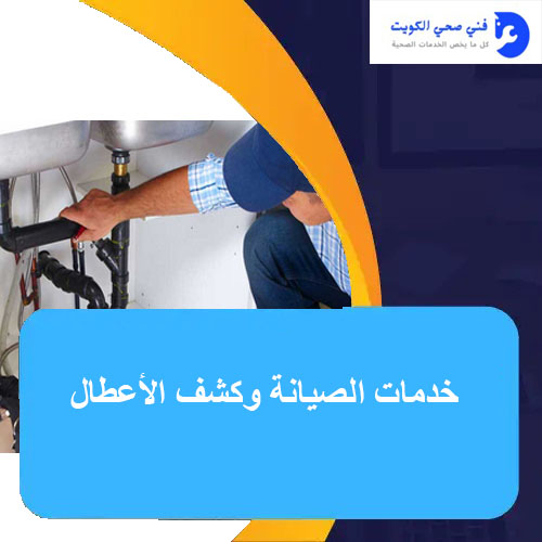 خدمات الصيانة وكشف الأعطال